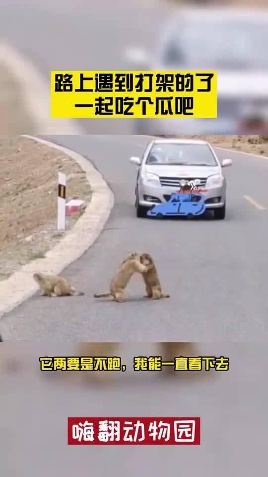 吃瓜卡路上,揭秘娱乐圈那些不为人知的幕后故事